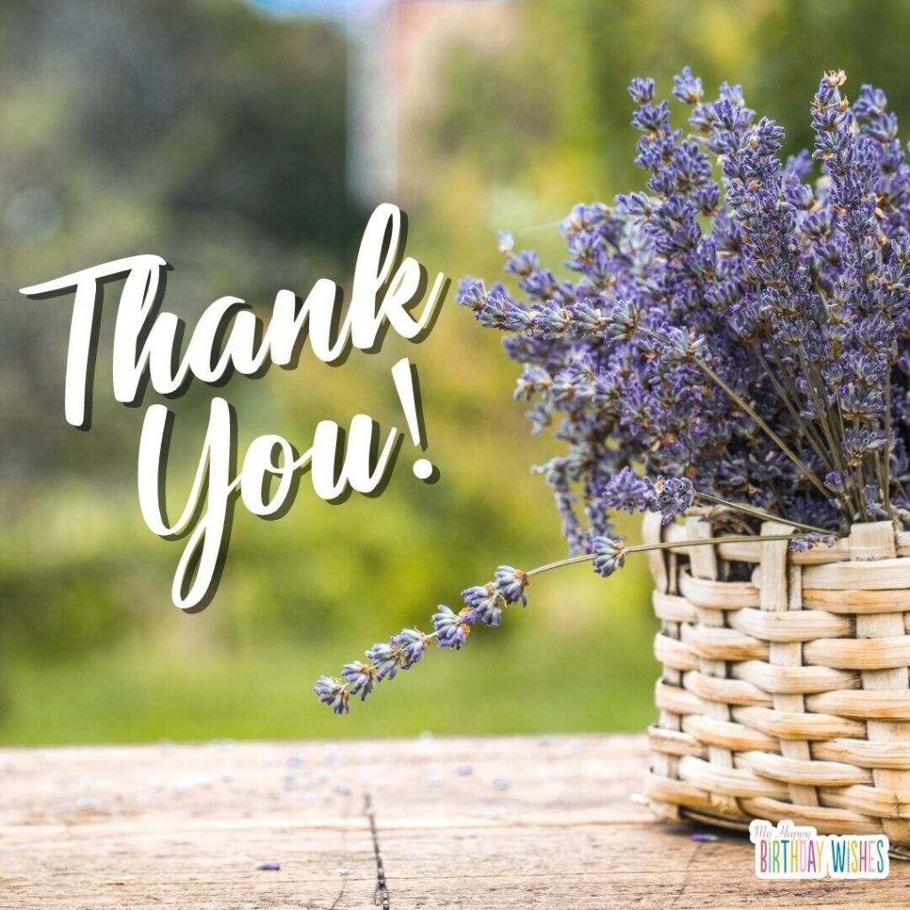 simple thank you typography with lavender
