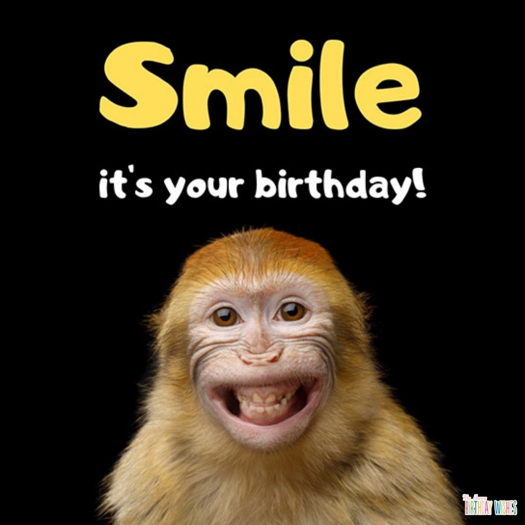 smiling monkey - funny birthday pictures