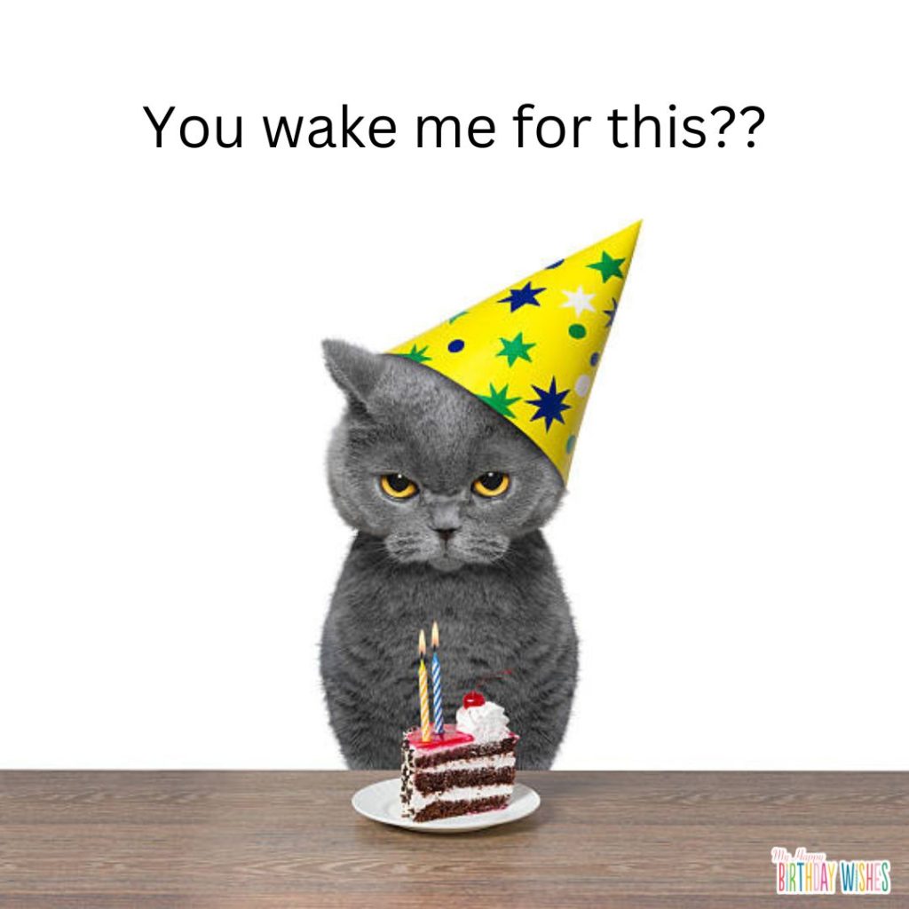 372 Funny Happy Birthday Memes - Wishes (with Pictures)