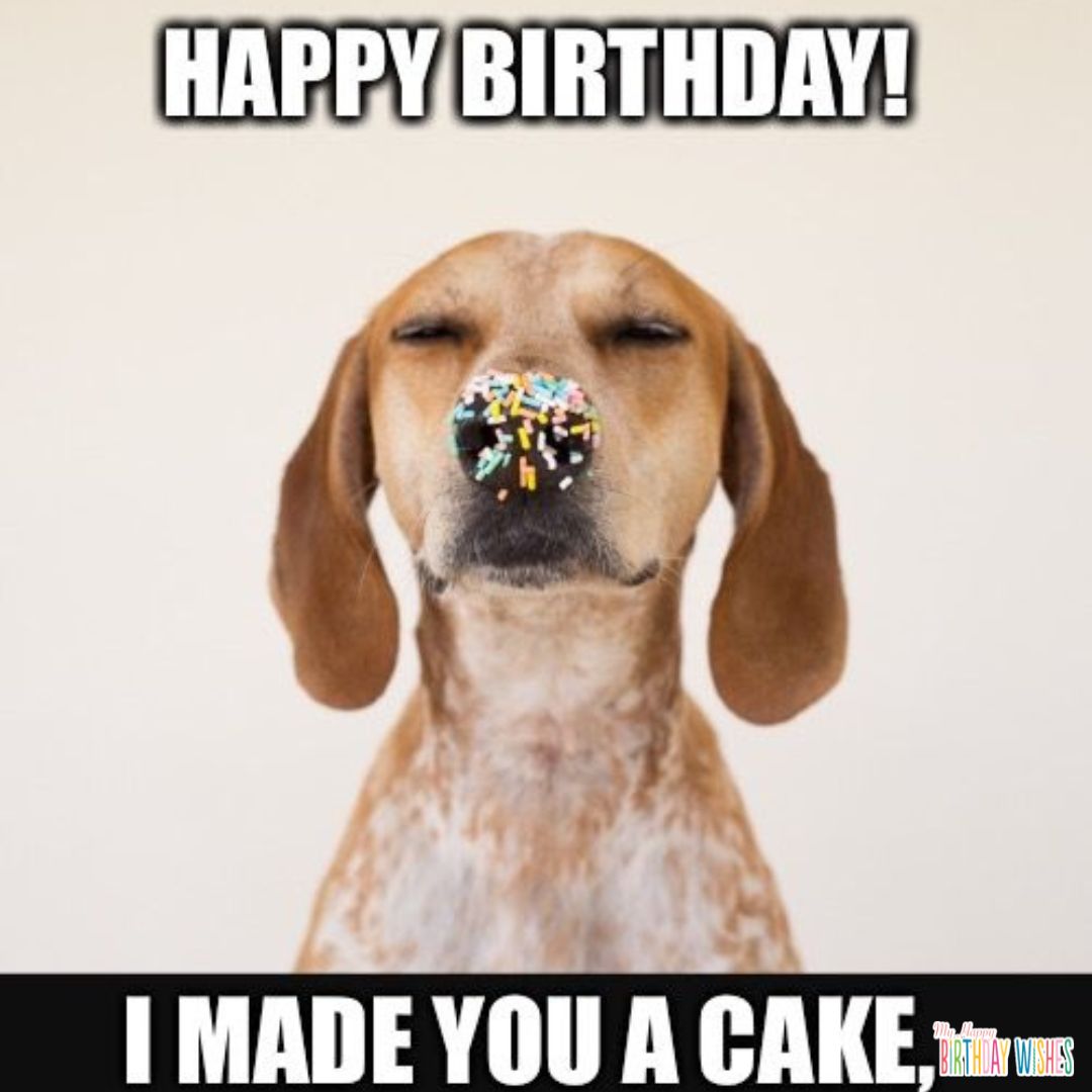 funny birthday pictures