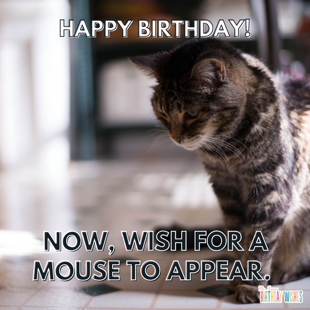 Now, wish for a mouse to appear.
