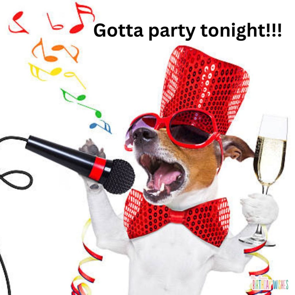 Party Dog Image