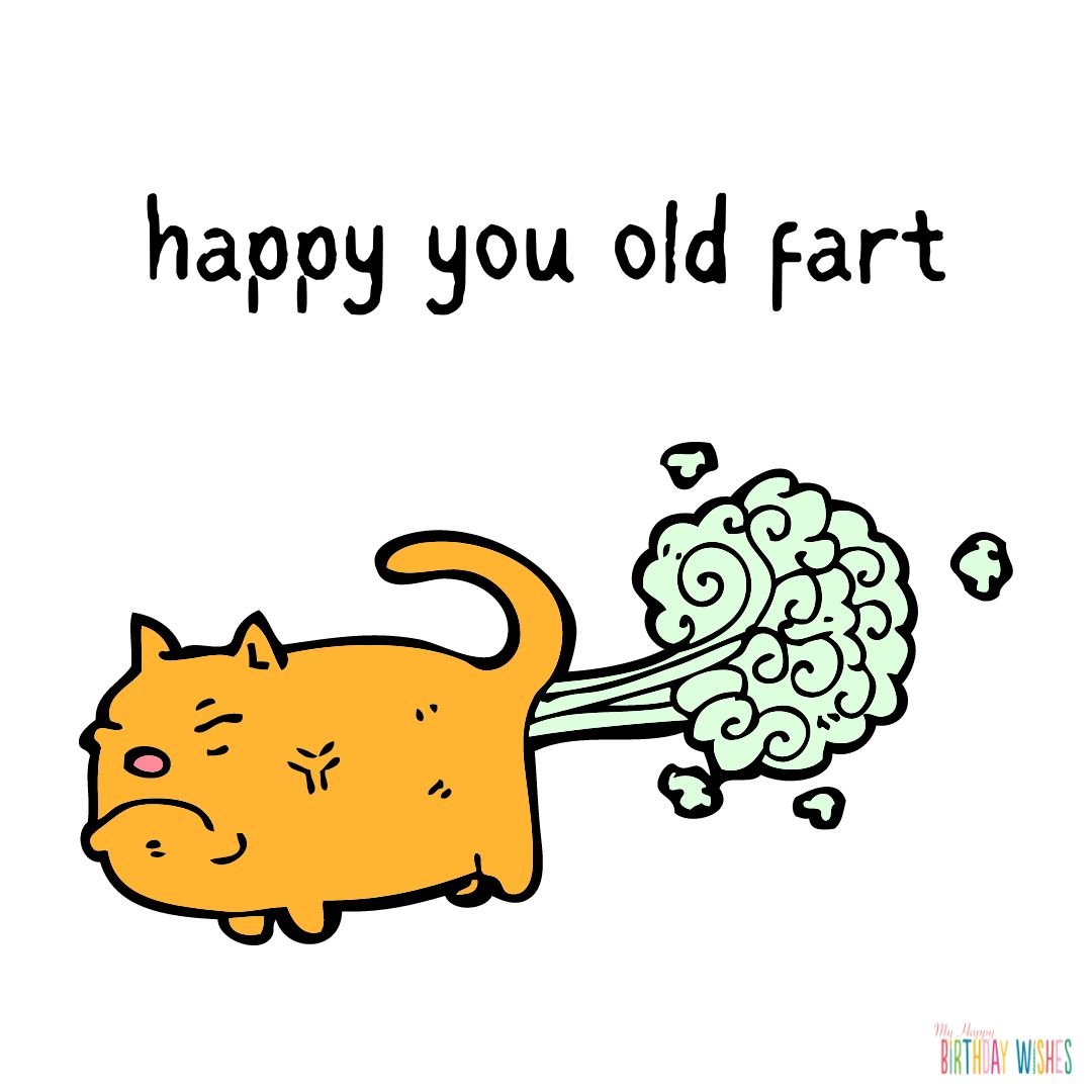 farting cat - funny birthday pictures